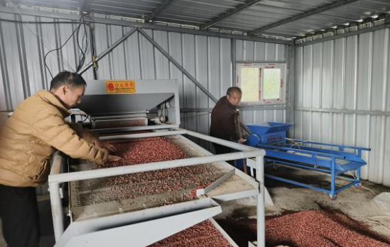 村落振兴工作动态（第173期）