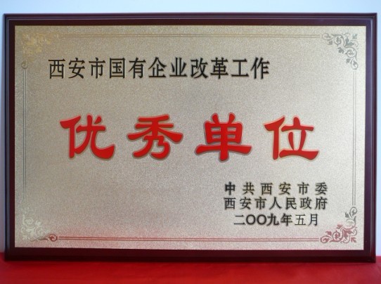2009年5月，被西安市委、市当驹炖为西安市国企业鼎新工作优良单元