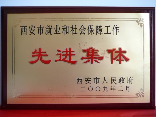 2009年2月，被西安市当驹炖为西安市就业和社会保险工作先进集体