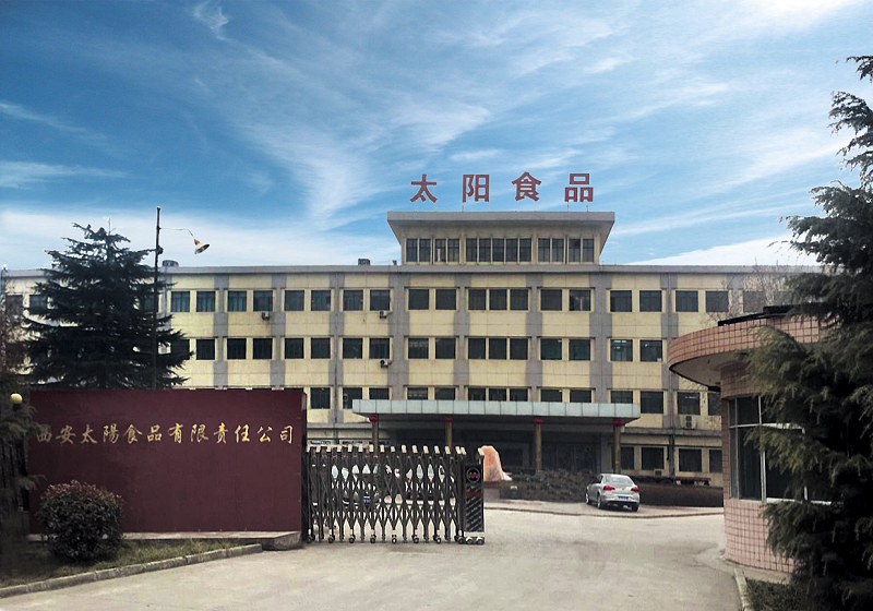 西安太阳食品有限责任J9集团简介
